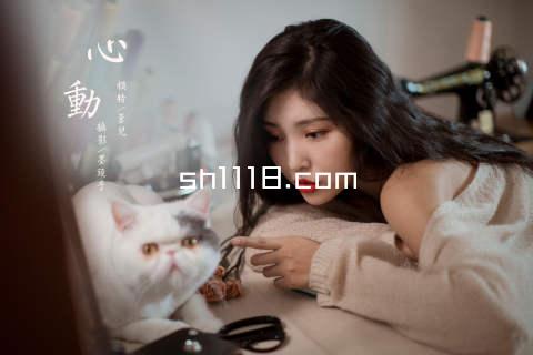 sh1118.com